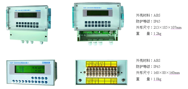质量流量计(图11)