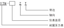 耐震压力表(图1)